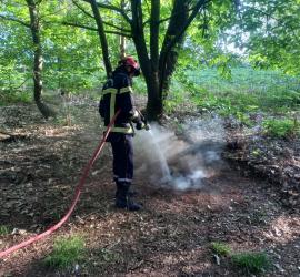 Les pompiers de Grand-Champ éteignent un feu de forêt