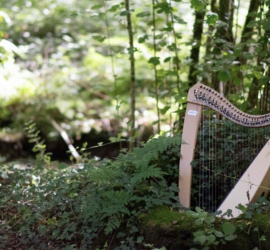 Harpe