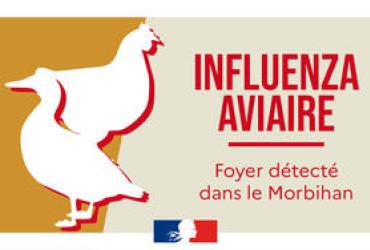 Grippe aviaire